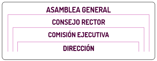 estructura organizativa